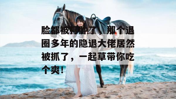 脸都被打肿了，那个退圈多年的隐退大佬居然被抓了，一起草带你吃个爽！